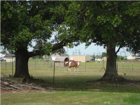 2119 Riceland Road Duson, LA 70529 - Photo 10 of 15 Additional Photo