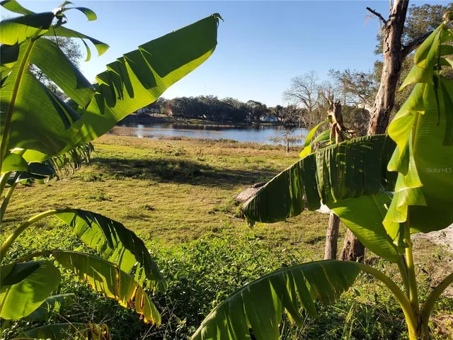 a view of swimming pool with a yard