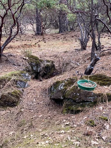 a view of an outdoor space with lots of green space