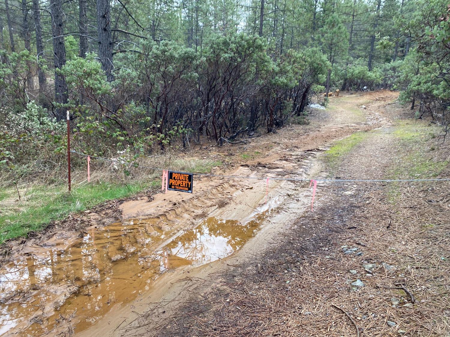 3 Todd Valley Road Foresthill, CA 95631 - Photo 14 of 14 a view of a yard with plants and trees