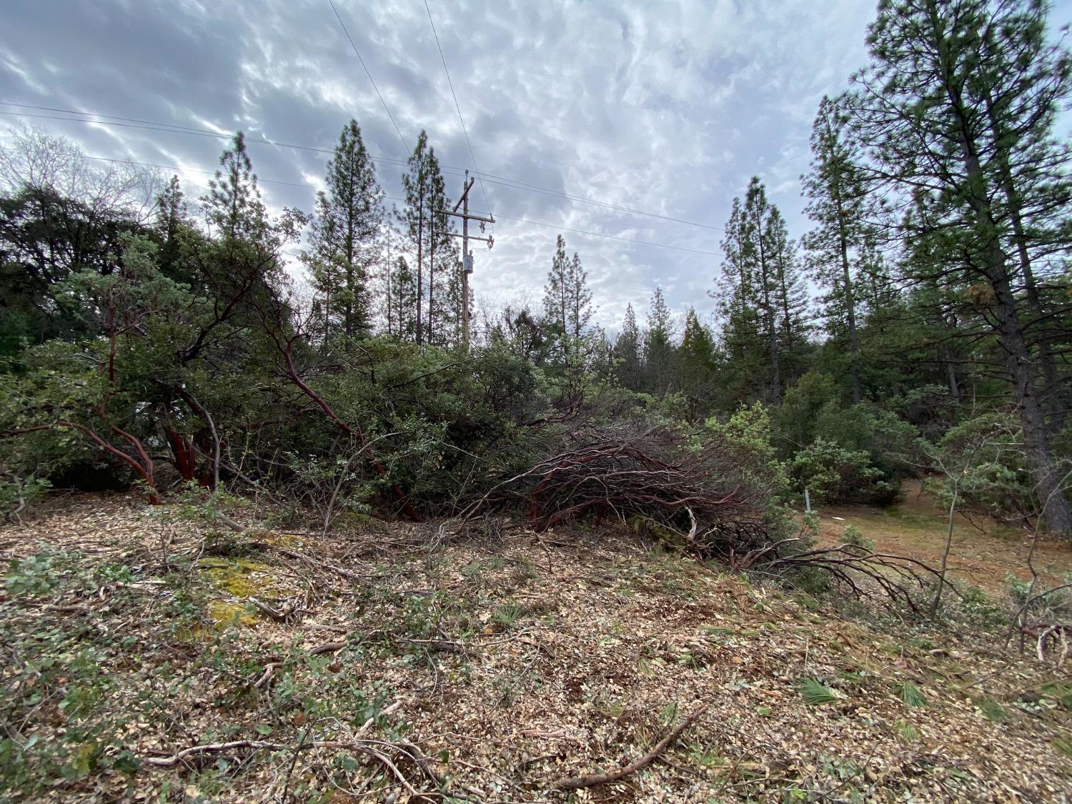 3 Todd Valley Road Foresthill, CA 95631 - Photo 10 of 14 a view of outdoor space and tree