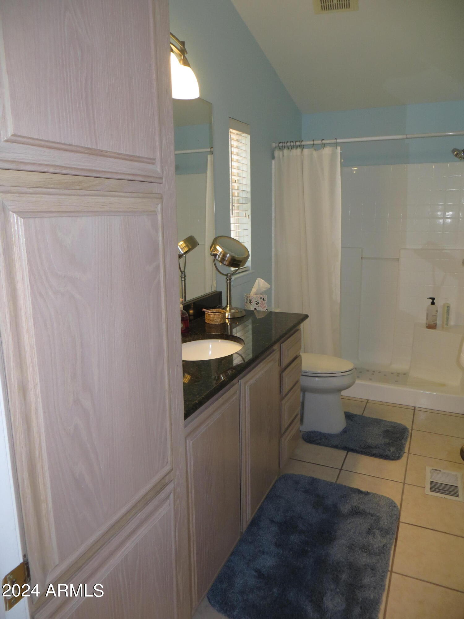 2101 South Meridian Road, Unit 47 Apache Junction, AZ 85120 - Photo 23 of 49 Master bath