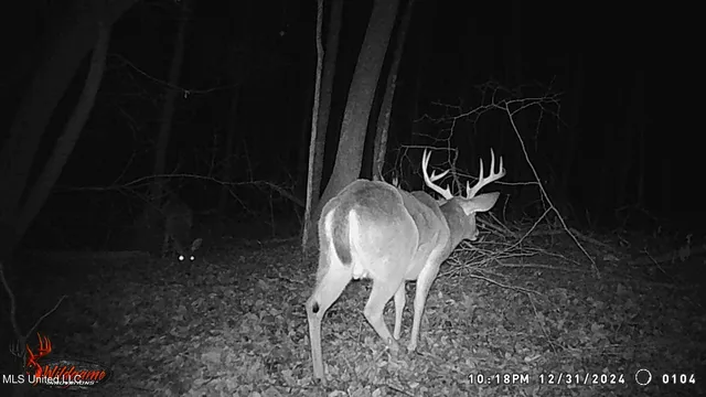 $97,500 | 35-ac Bethel Church Road, Grenada, MS 38901