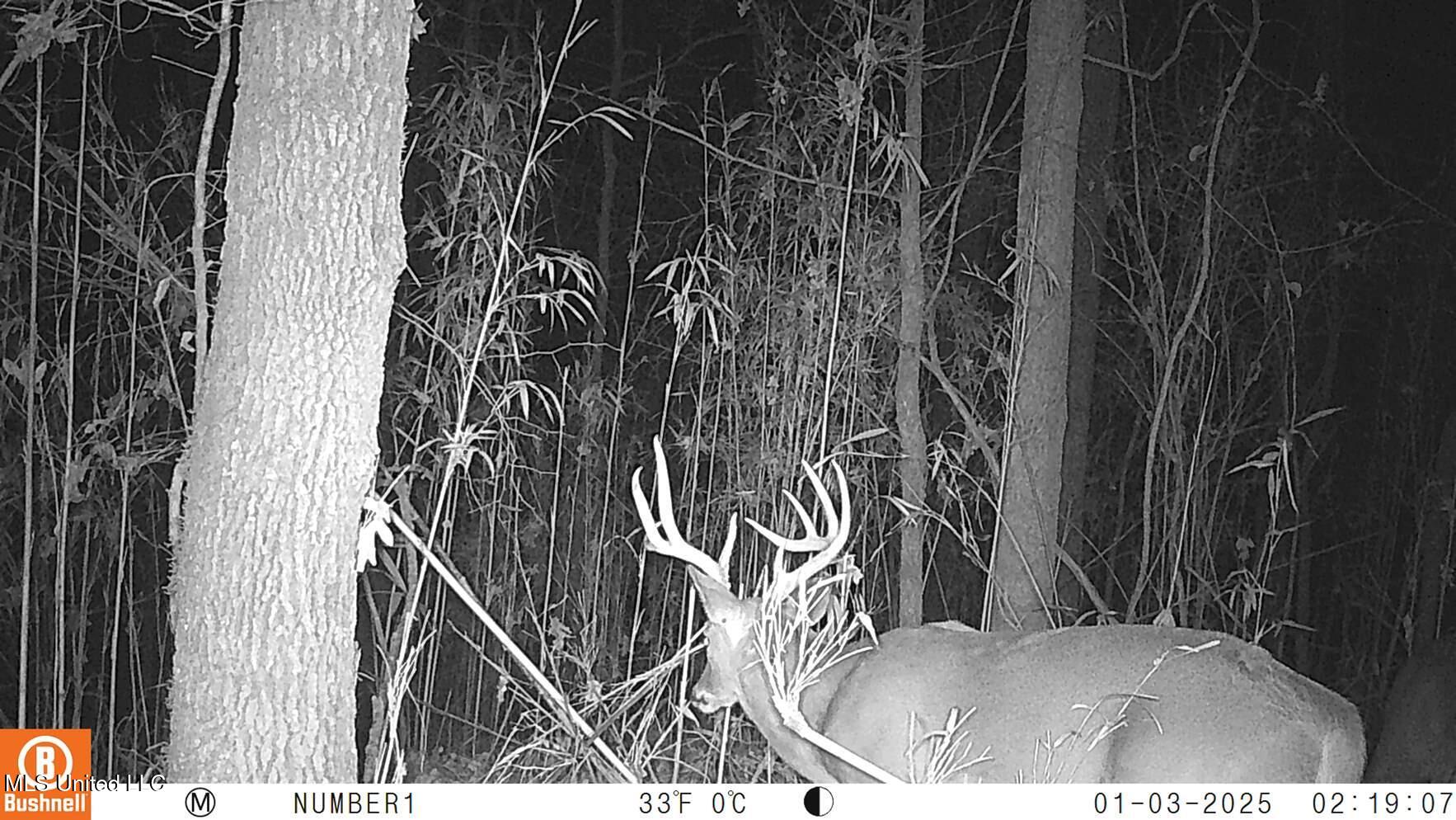 35-ac Bethel Church Road Grenada, MS 38901 - Photo 12 of 86 102_0117