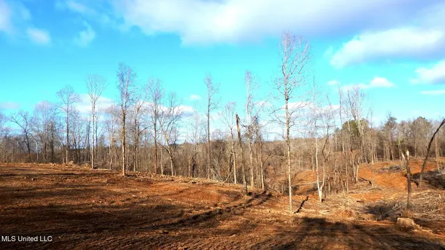 $97,500 | 35-ac Bethel Church Road, Grenada, MS 38901