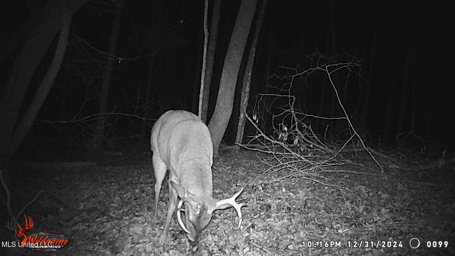 35-ac Bethel Church Road Grenada, MS 38901 - Photo 14 of 86 WGI_0099