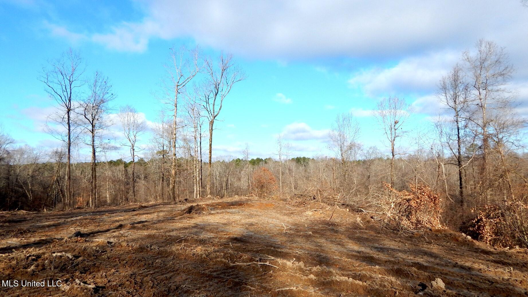 35-ac Bethel Church Road Grenada, MS 38901 - Photo 15 of 86 DSCN6488
