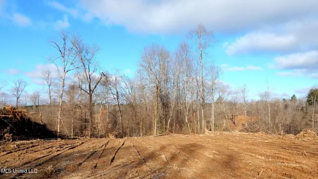 $97,500 | 35-ac Bethel Church Road, Grenada, MS 38901