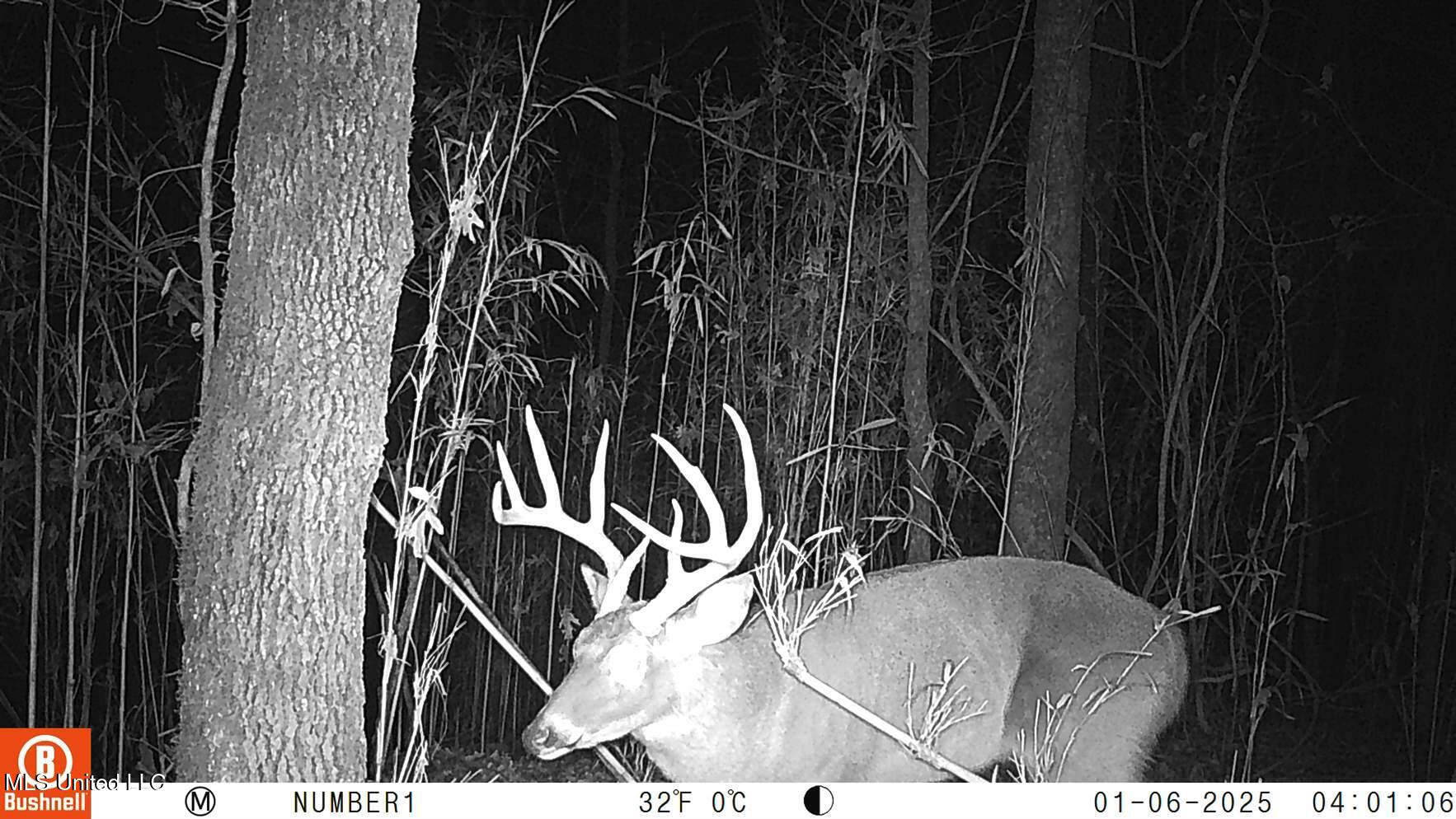 35-ac Bethel Church Road Grenada, MS 38901 - Photo 17 of 86 102_0543