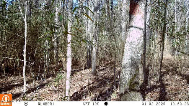 $97,500 | 35-ac Bethel Church Road, Grenada, MS 38901