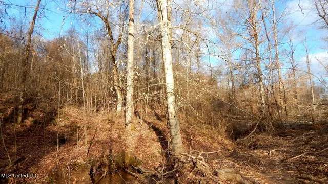 $97,500 | 35-ac Bethel Church Road, Grenada, MS 38901