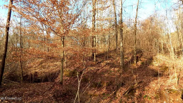 $97,500 | 35-ac Bethel Church Road, Grenada, MS 38901