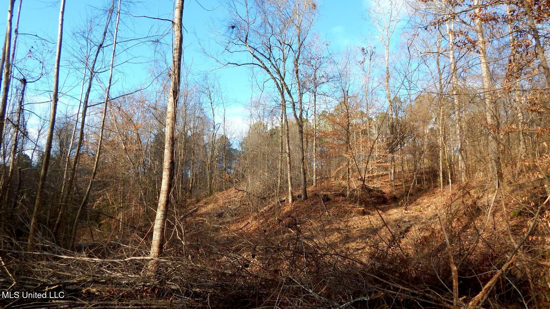 35-ac Bethel Church Road Grenada, MS 38901 - Photo 21 of 86 DSCN6450