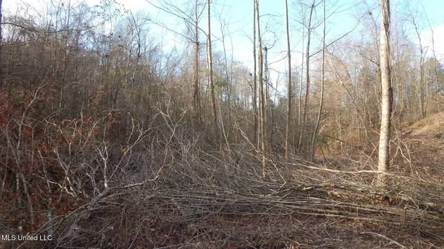 $97,500 | 35-ac Bethel Church Road, Grenada, MS 38901