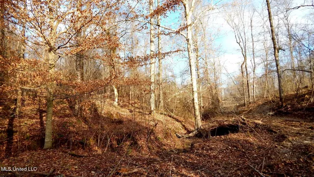 $97,500 | 35-ac Bethel Church Road, Grenada, MS 38901