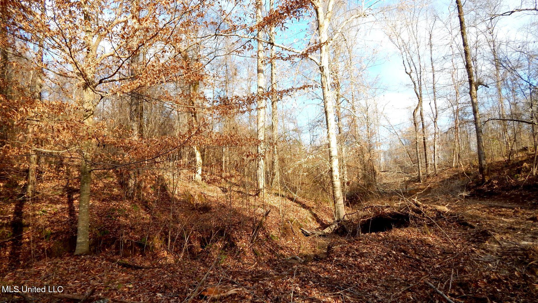 35-ac Bethel Church Road Grenada, MS 38901 - Photo 23 of 86 DSCN6452
