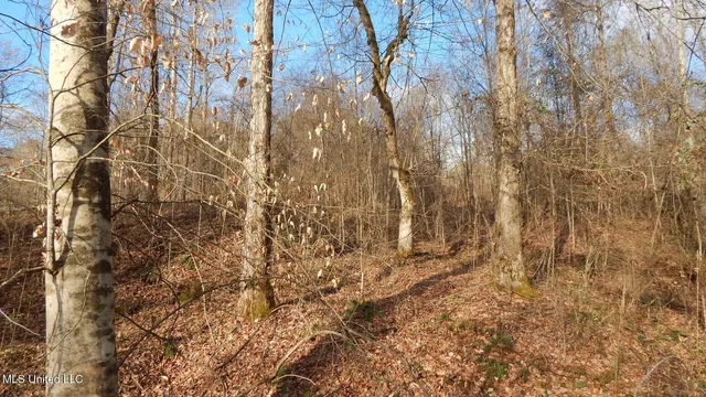 $97,500 | 35-ac Bethel Church Road, Grenada, MS 38901