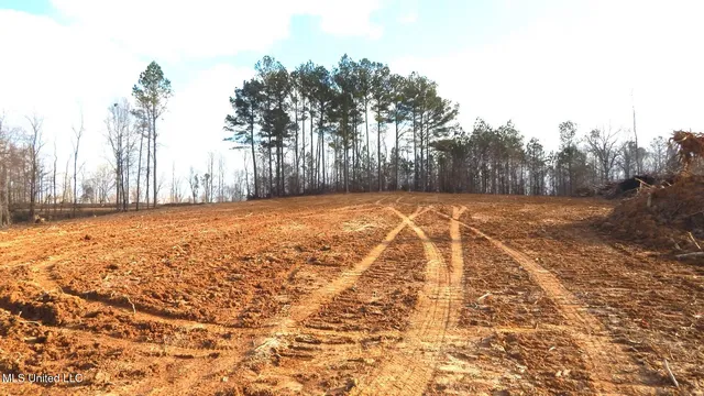 $97,500 | 35-ac Bethel Church Road, Grenada, MS 38901