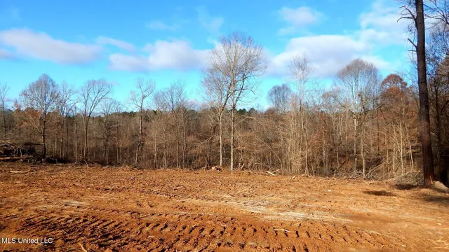 $97,500 | 35-ac Bethel Church Road, Grenada, MS 38901