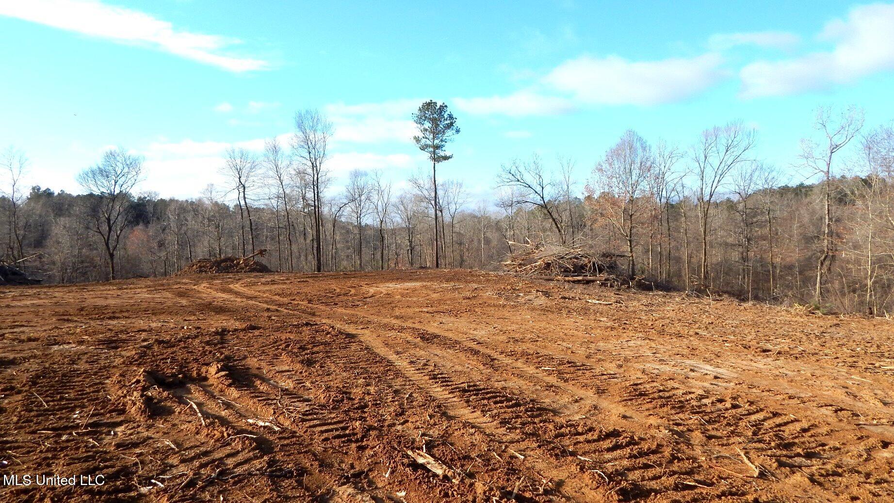 35-ac Bethel Church Road Grenada, MS 38901 - Photo 27 of 86 DSCN6457