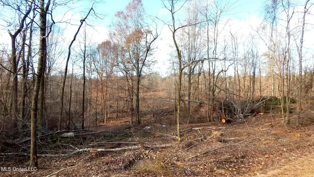 $97,500 | 35-ac Bethel Church Road, Grenada, MS 38901