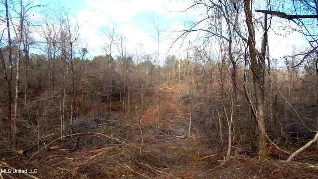 $97,500 | 35-ac Bethel Church Road, Grenada, MS 38901