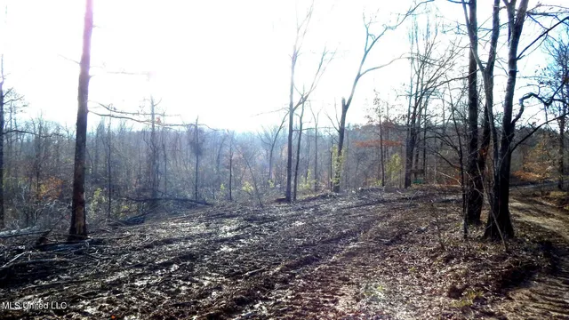 $97,500 | 35-ac Bethel Church Road, Grenada, MS 38901