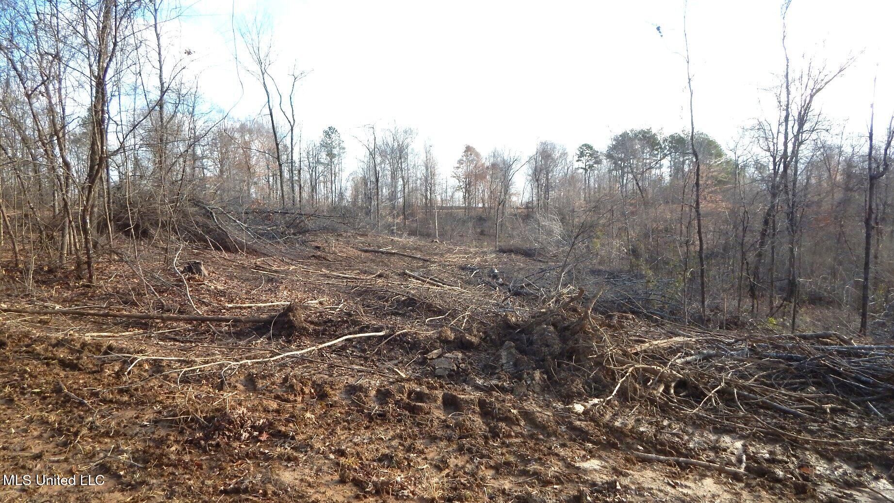 35-ac Bethel Church Road Grenada, MS 38901 - Photo 31 of 86 DSCN6461
