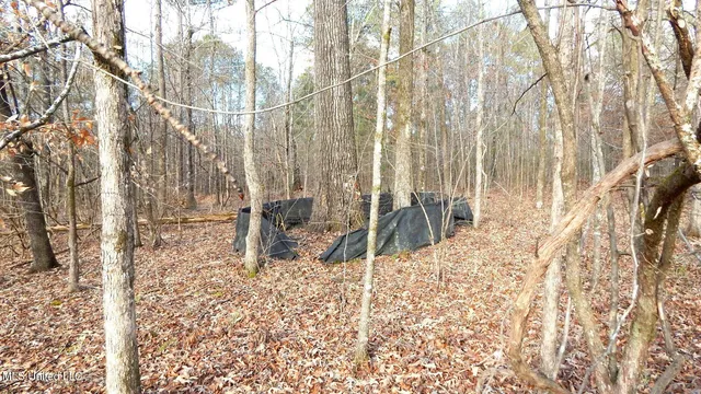 $97,500 | 35-ac Bethel Church Road, Grenada, MS 38901