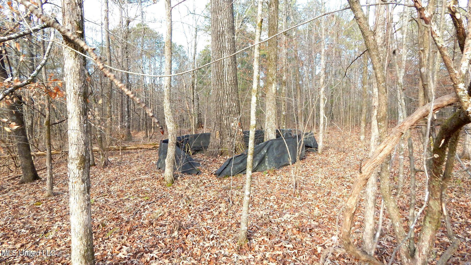 35-ac Bethel Church Road Grenada, MS 38901 - Photo 32 of 86 DSCN6462