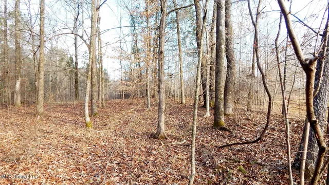 $97,500 | 35-ac Bethel Church Road, Grenada, MS 38901
