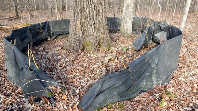 $97,500 | 35-ac Bethel Church Road, Grenada, MS 38901