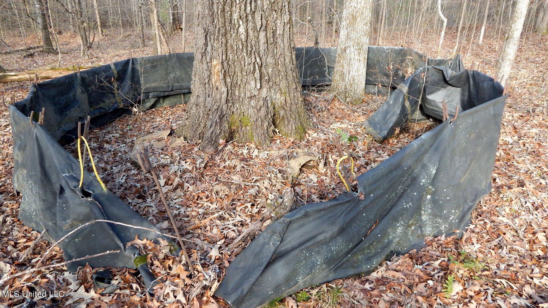 35-ac Bethel Church Road Grenada, MS 38901 - Photo 34 of 86 DSCN6465