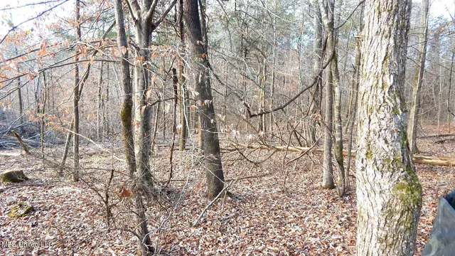 $97,500 | 35-ac Bethel Church Road, Grenada, MS 38901