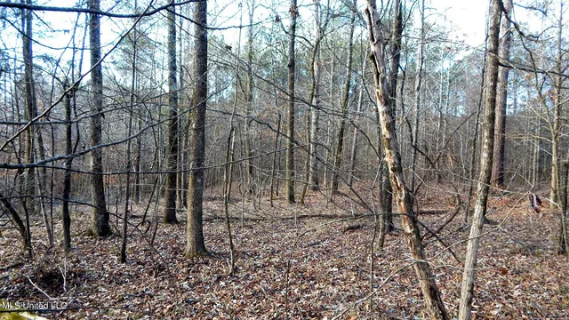 $97,500 | 35-ac Bethel Church Road, Grenada, MS 38901