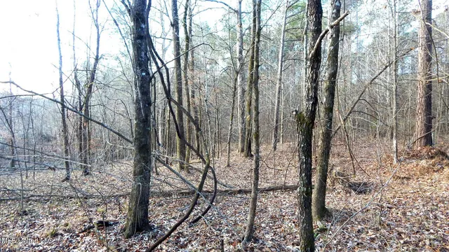 $97,500 | 35-ac Bethel Church Road, Grenada, MS 38901