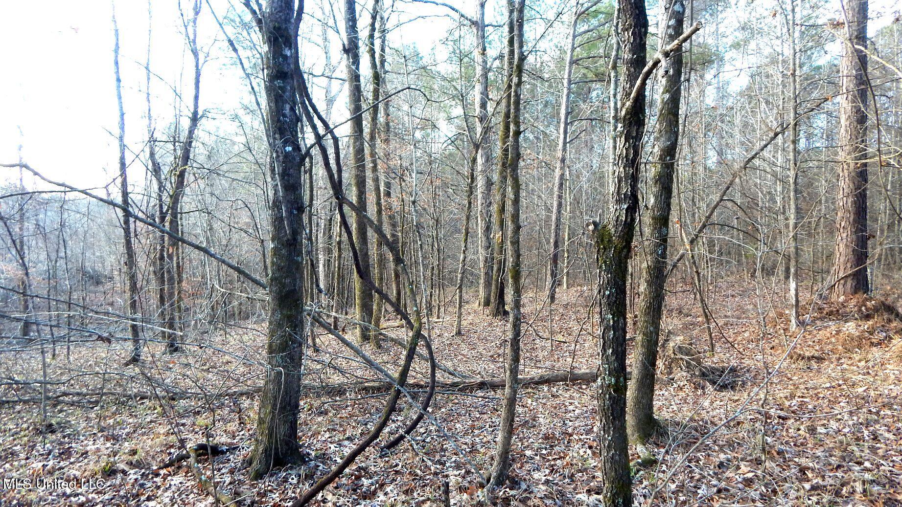 35-ac Bethel Church Road Grenada, MS 38901 - Photo 37 of 86 DSCN6468