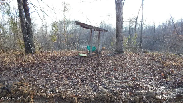 $97,500 | 35-ac Bethel Church Road, Grenada, MS 38901