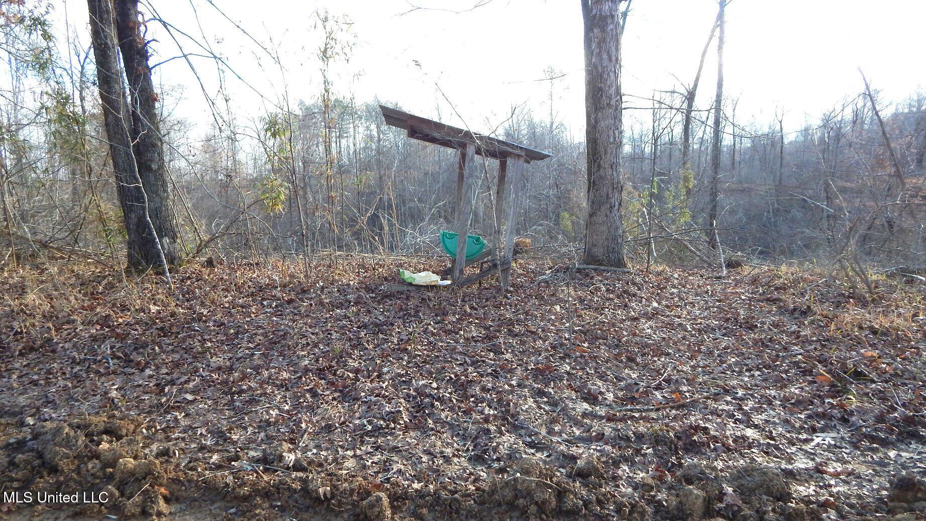 35-ac Bethel Church Road Grenada, MS 38901 - Photo 38 of 86 DSCN6469