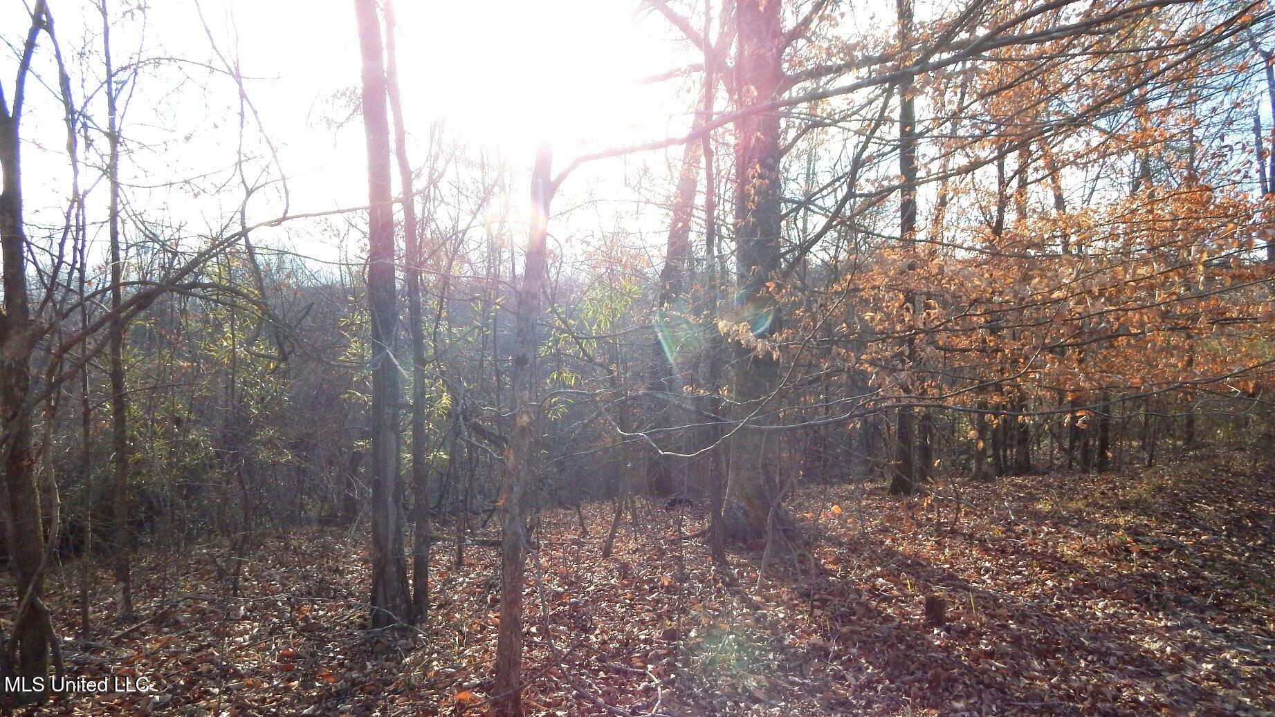 35-ac Bethel Church Road Grenada, MS 38901 - Photo 39 of 86 DSCN6470