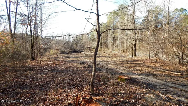 $97,500 | 35-ac Bethel Church Road, Grenada, MS 38901