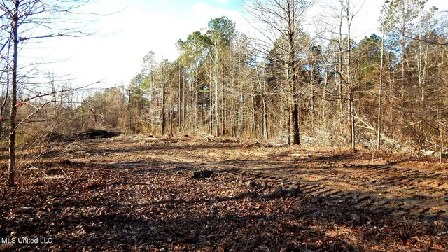 $97,500 | 35-ac Bethel Church Road, Grenada, MS 38901