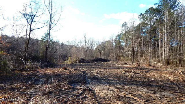 $97,500 | 35-ac Bethel Church Road, Grenada, MS 38901