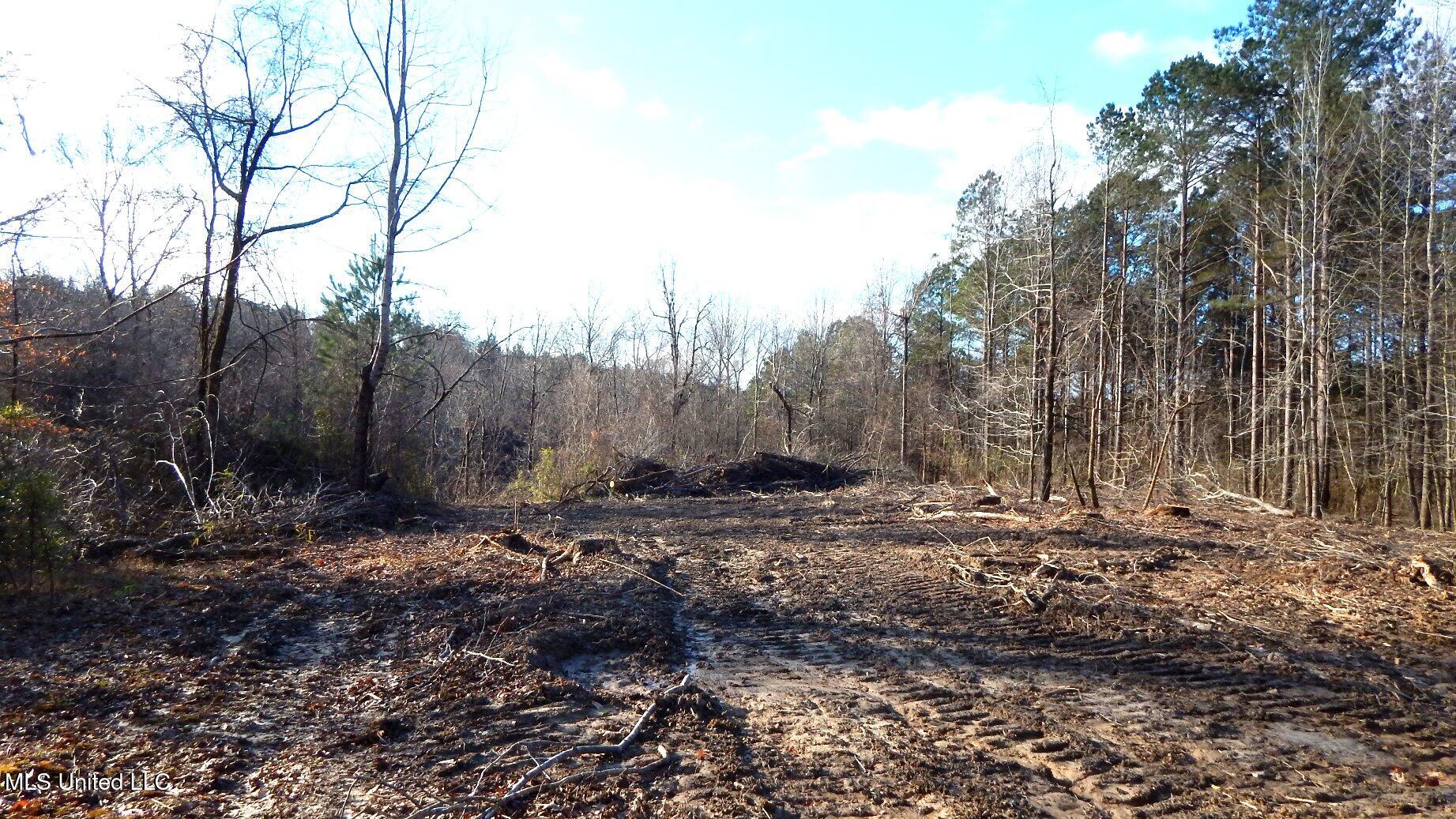 35-ac Bethel Church Road Grenada, MS 38901 - Photo 42 of 86 DSCN6473