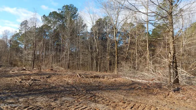$97,500 | 35-ac Bethel Church Road, Grenada, MS 38901