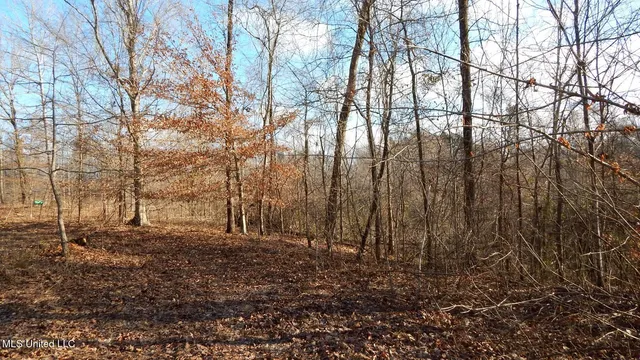 $97,500 | 35-ac Bethel Church Road, Grenada, MS 38901