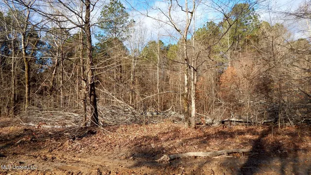 $97,500 | 35-ac Bethel Church Road, Grenada, MS 38901