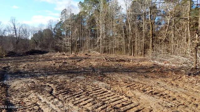 $97,500 | 35-ac Bethel Church Road, Grenada, MS 38901