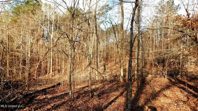 $97,500 | 35-ac Bethel Church Road, Grenada, MS 38901