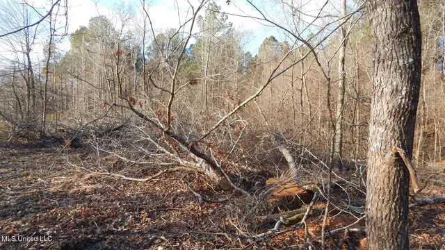 $97,500 | 35-ac Bethel Church Road, Grenada, MS 38901